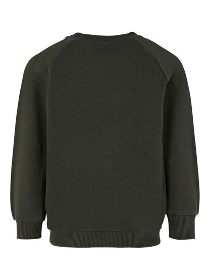 Felpa girocollo con ricamo Balmain